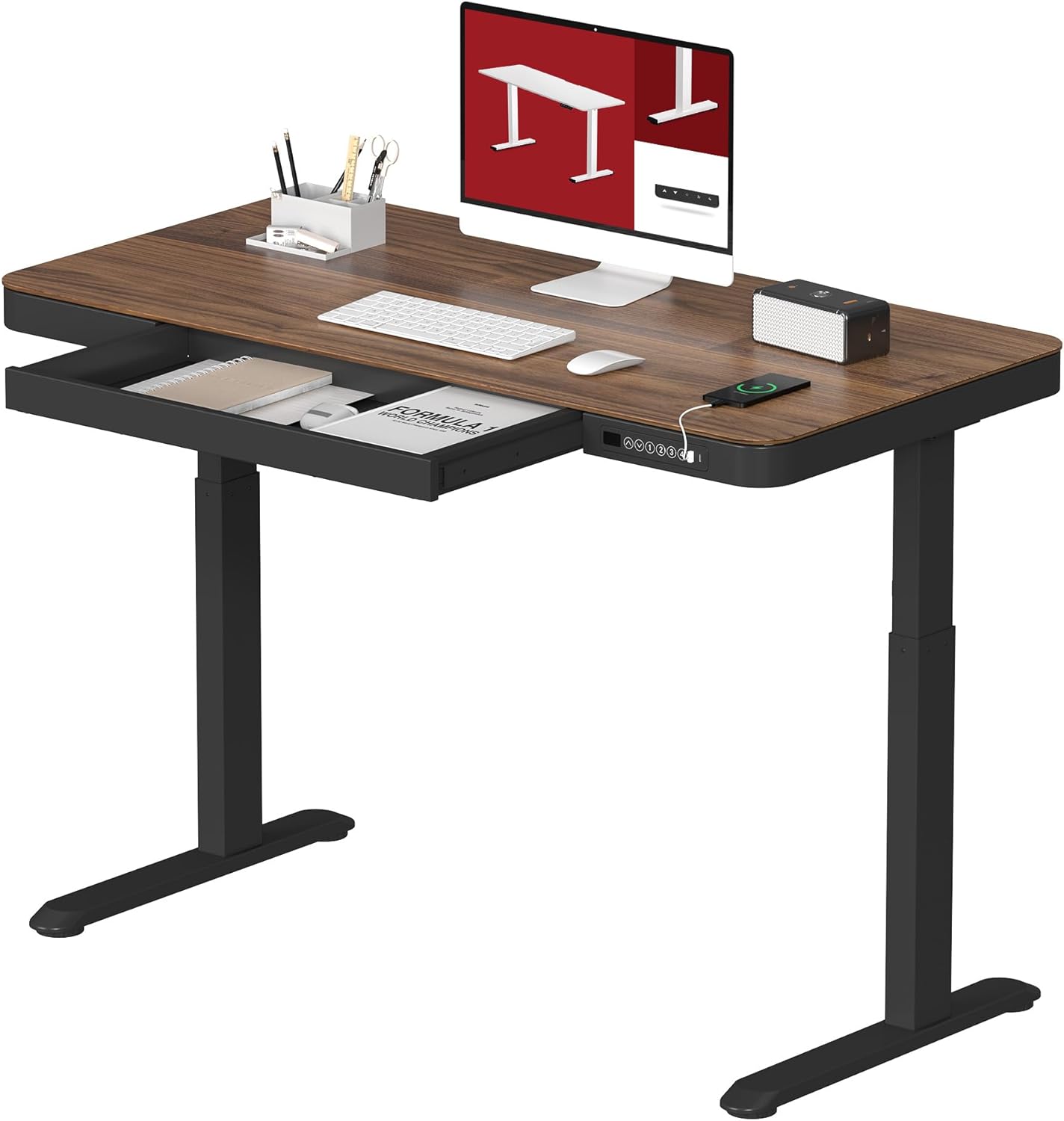 Standing Desk with Drawer, Electric Height Adjustable Home Office Desk with Storage & USB Ports, 48 inch Black Walnut Wood Tabletop/Black Frame
