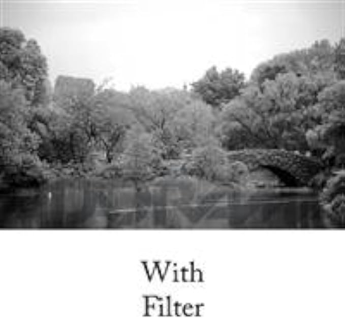 Tiffen 62mm 21 Filter - Image 3