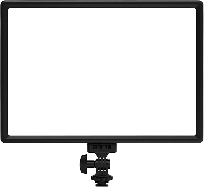 RALENO LED Video Light, CRI>95 2500K-6500K Photo Lights by RaLeno