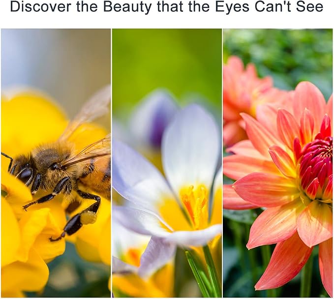 62mm Close-up Filter Kit 4 Pieces Macro Filter Accessory Close-up Lens Filter - Image 7