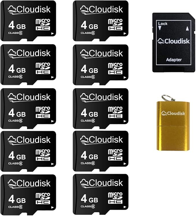 Pack of 10 Micro SD Card 4GB Flash Memory Card C6 Micro SDHC by Cloudisk