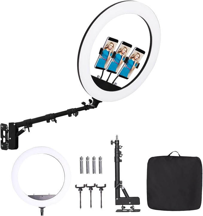 25 '' Ring Light Wall Mount by Unknown