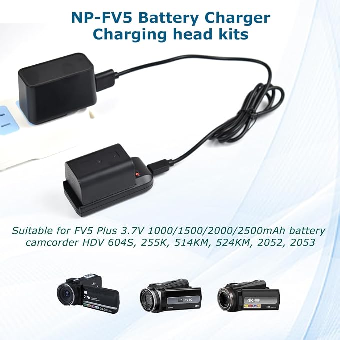 NP-FV5 Battery Charger with Charging Plug and USB Cable - Image 2