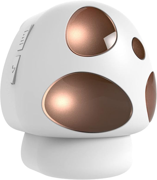 Extra Wireless Receiver for HTZSAFE Alarms- Up to 4 Channels and 35 Optional by HTZSAFE