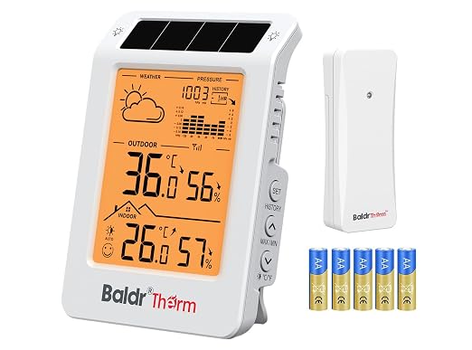 BaldrTherm Wireless Weather Station, Dual-Zone Indoor & Outdoor/Childroom Temp by BaldrTherm