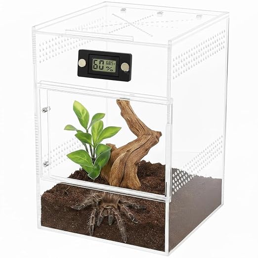 2 Pcs Magnetic Jumping Spider Enclosure Thermometer and Humidity Gauge - Image 3