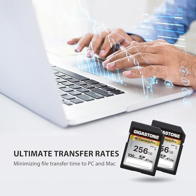 【5-Years Data Recovery】GIGASTONE 256GB SD Card, 4K Camera Pro, UHS-I A1 V30 - Image 5