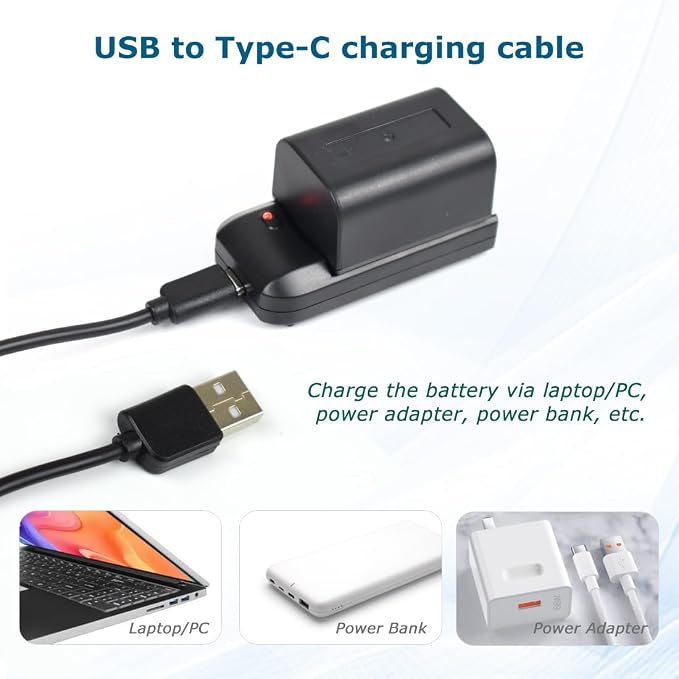 NP-FV5 Battery Charger with Charging Plug and USB Cable - Image 3