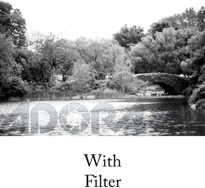 Tiffen 82mm 25 Filter - Image 3