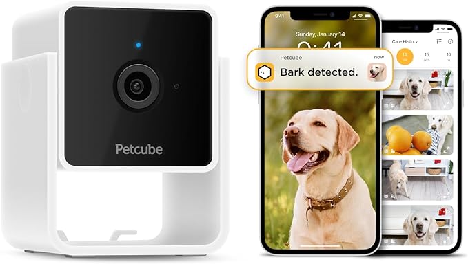 Petcube Cam and Care Coverage Subscription | Indoor Wi-Fi Pet and Security by Petcube