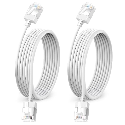 Ultra Thin Cat 6A Ethernet Cable 3.3 Feet 2Pack, Flexible & Slim Rj45 Cat6a LAN by DUTEVOLNS