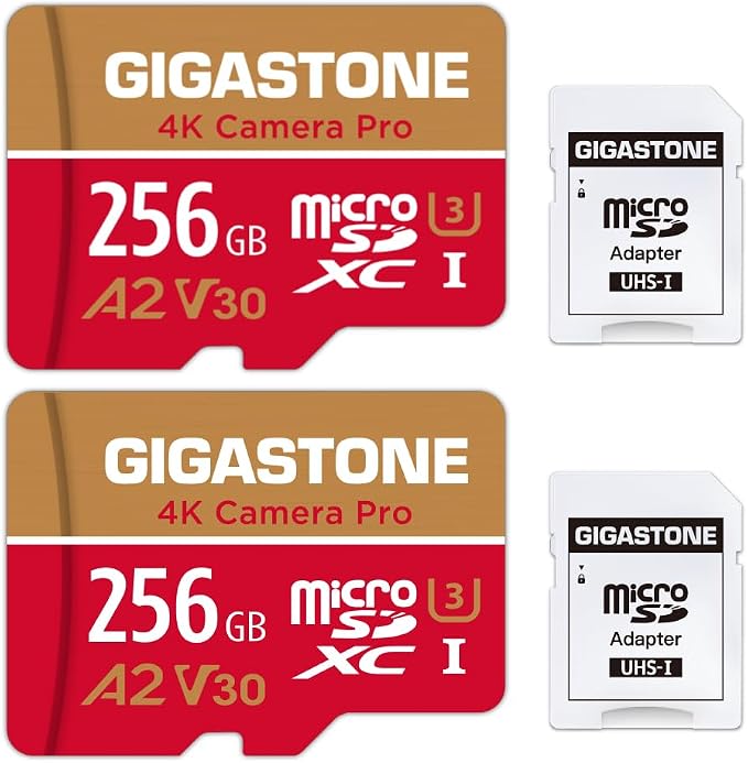 【5-Years Data Recovery】 GIGASTONE 256GB Memory Card 2 Pack 4K Pro Camera by Gigastone
