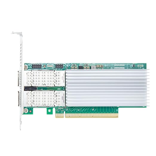 10Gtek 100GbE Converged Network Card - Image 3