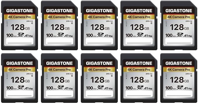 【5-Years Data Recovery】 GIGASTONE 128GB SD Card 10-Pack, 4K Camera Pro by Gigastone