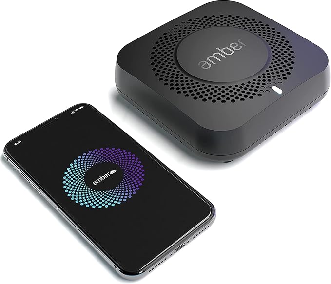Smart Personal Cloud Storage Device Data and Media Files, Built-in 512GB by AmberX