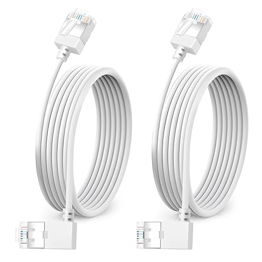 Ultra Slim 90° Degree Cat 6A Ethernet Cable Left Angled 10 Feet 2Pack, 10Gbps by DUTEVOLNS