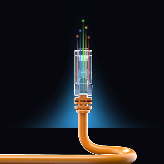 Maximm Cat 6 Ethernet Cable - 1 ft - High-Speed LAN - Image 8