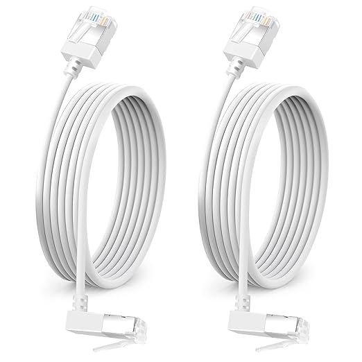 90° Downward Angled Cat 6A Ethernet Ultra Slim Cable 30 Feet 2Pack, Flexible by DUTEVOLNS
