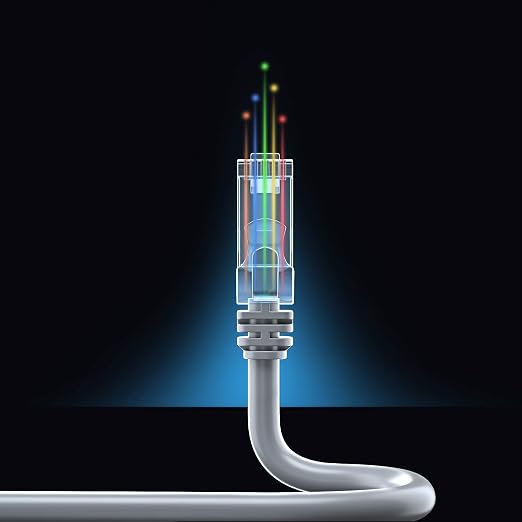 Maximm Cat 6 Ethernet Cable - 4 ft - Image 8
