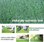 Artificial Grass Turf 10FTX43FT, 38inch 4 Tone Realistic Synthetic Thick Fake - Image 5
