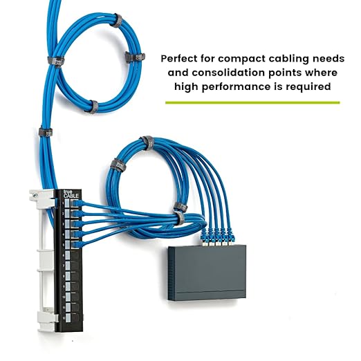 TRUE CABLE Cat6A Shielded 12-Port Blank Toolless Modular Keystone Patch Panel - Image 6
