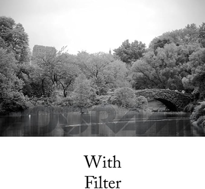 Tiffen 52mm 21 Filter - Image 3