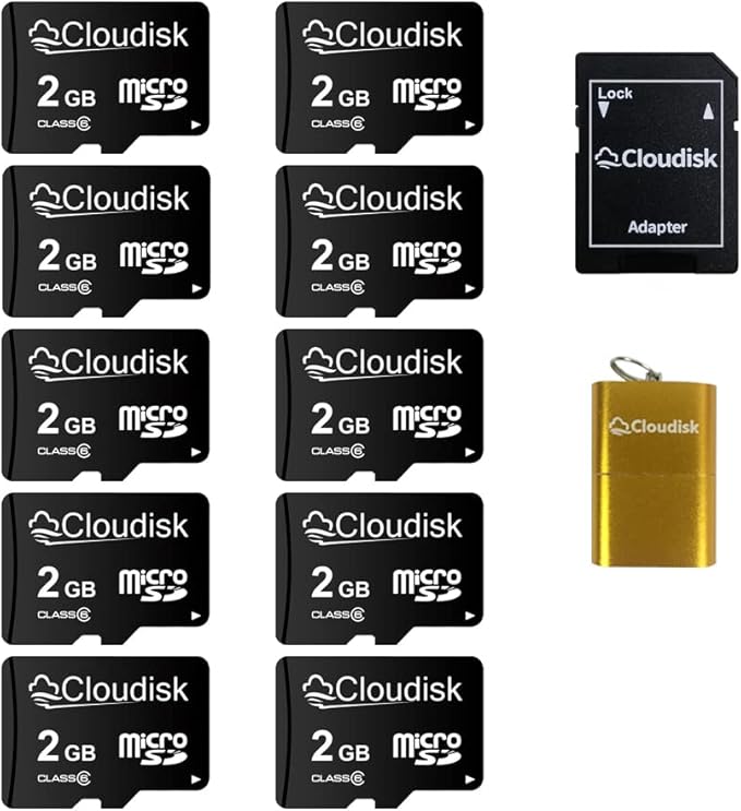 Pack of 10 Micro SD Card 2GB Flash Memory Card C6 by Cloudisk