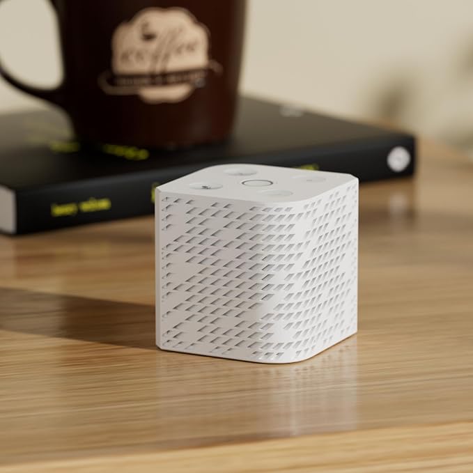 Third Reality Voice/Music Assistant Dev Edition – Preloaded - Image 2