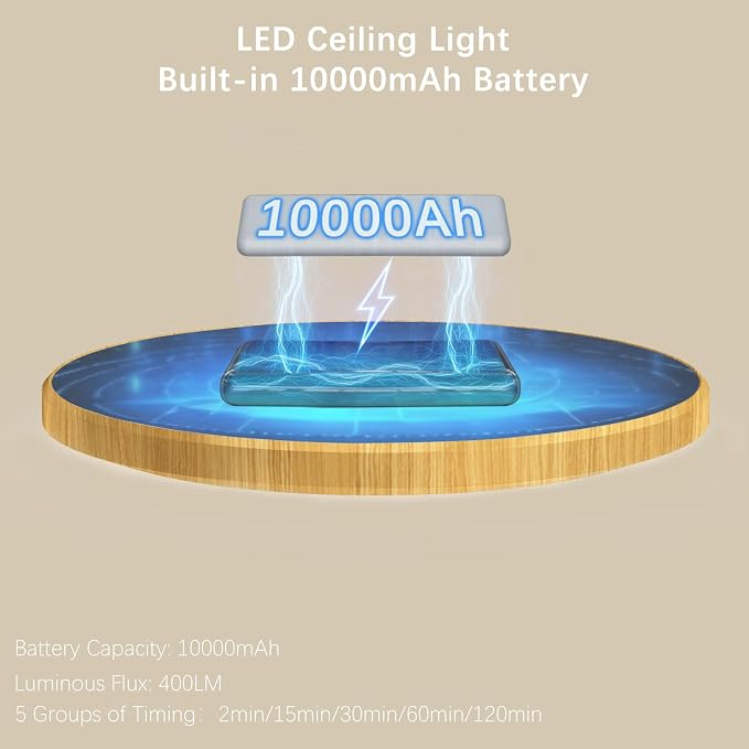 Battery Operated LED Celling Lights Fixture - Image 3