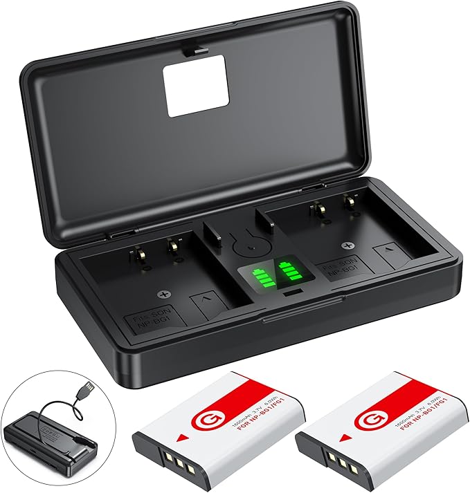 NP-BG1 Battery and Charger Set, Digital Camera Accessories Kit by ZODELOW