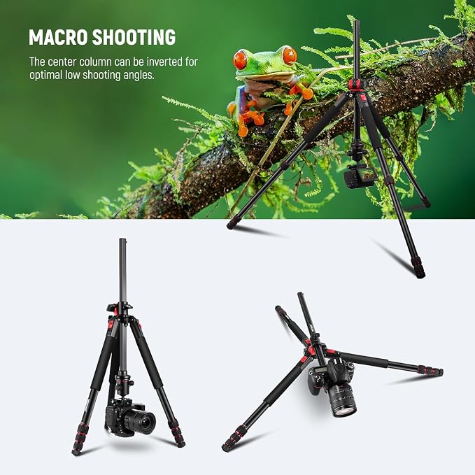 NEEWER 79 inch Camera Tripod Monopod - Image 5