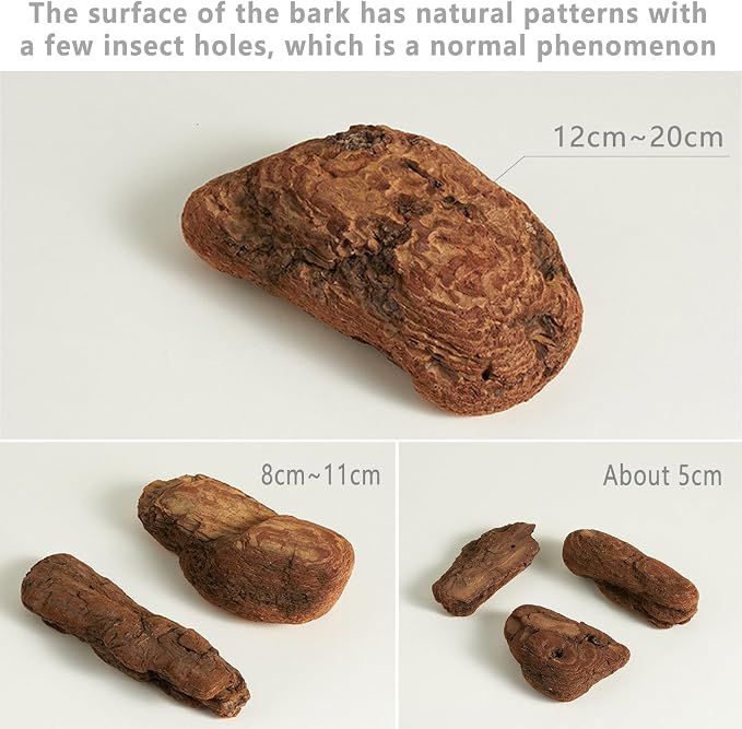 Product Photography Props for Photoshoot: 6PCS Natural Forest Wood Photo Props- - Image 6