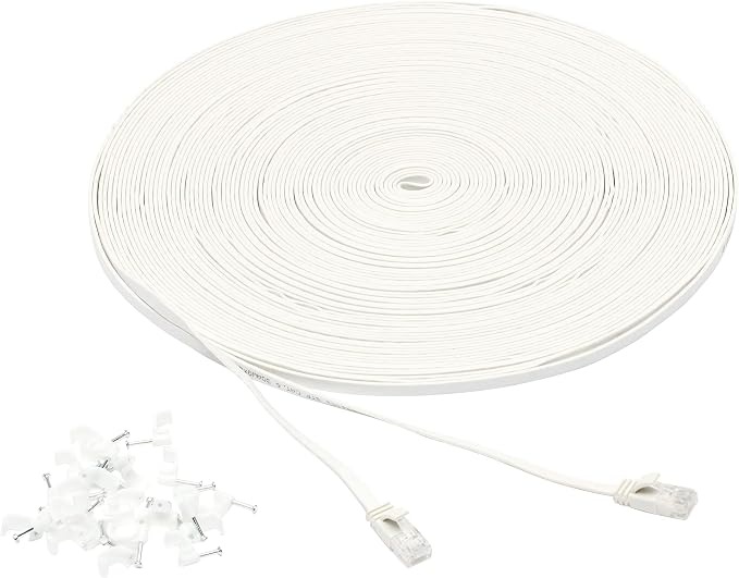 Amazon Basics Cat 6 Ethernet RJ45 10Gbps Flat Network Cable, 100ft Snagless by AmazonBasics