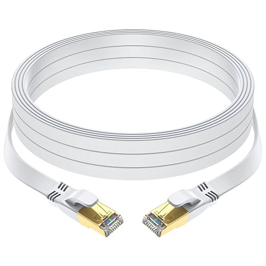 Cat 8 Ethernet Cable 30 FT, Outdoor&Indoor High Speed Heavy Duty Network LAN by Unknown