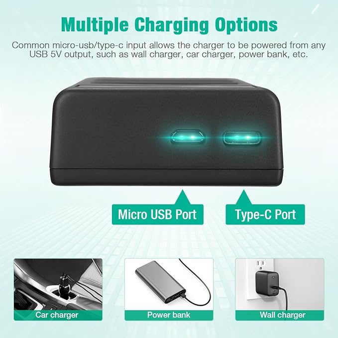 FirstPower DMW-BLC12 DMW-BLC12PP Battery and Dual Slot Charger - Image 5