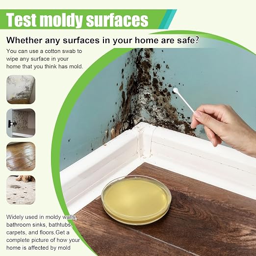 Mold Test Kit for Home - Image 4