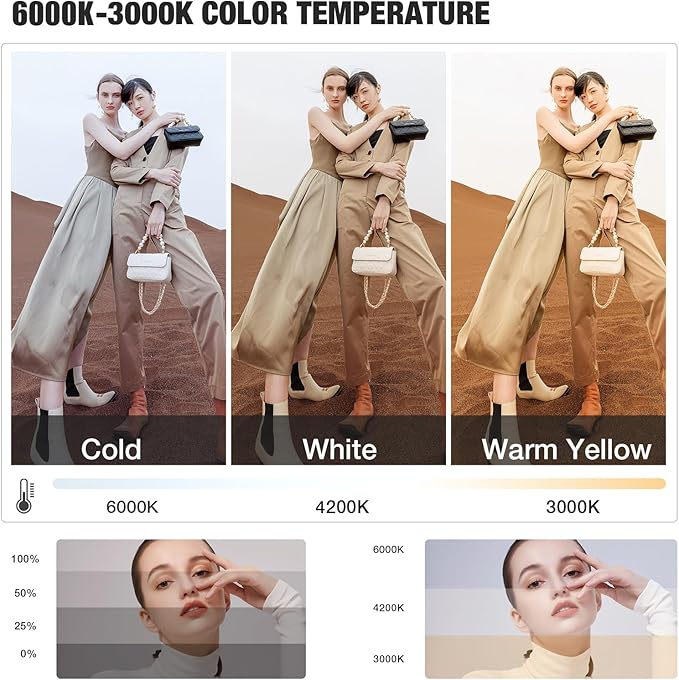 BEIYANG Softbox Lighting Kit, 2x20''x28'' Photography Soft Box - Image 2