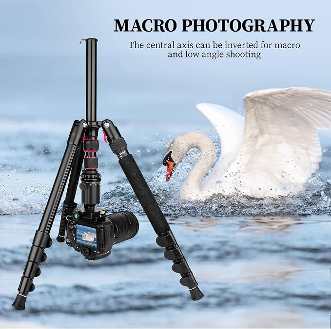 81" Professional Tripod for Camera & Phone -Tall, Compact Travel Tripod Stand - Image 4