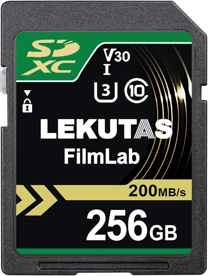256GB SDXC UHS-I Memory Card by LEKUTAS