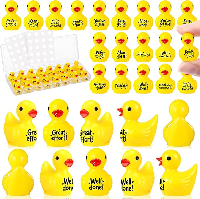 Skylety 24 Pcs Back to School Mini Resin Ducks by Skylety