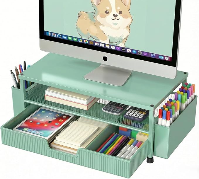 ECOLOVI Desk Organizer and Accessories, 2-Tier Computer Monitor Stand Rise by ECOLOVI