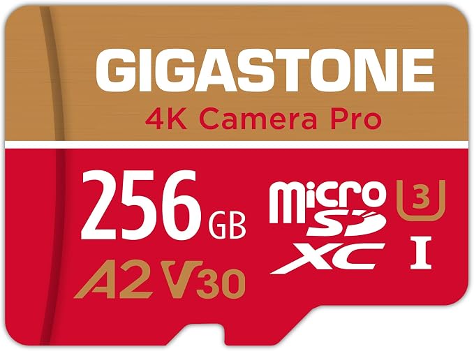 【5-Years Data Recovery】 GIGASTONE 256GB Micro SD Card, 4K Camera Pro, A2 V30 by Gigastone