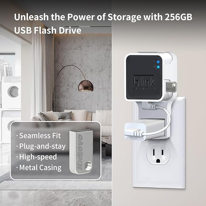 256GB Blink USB Flash Drive & Wall Mount - Image 2