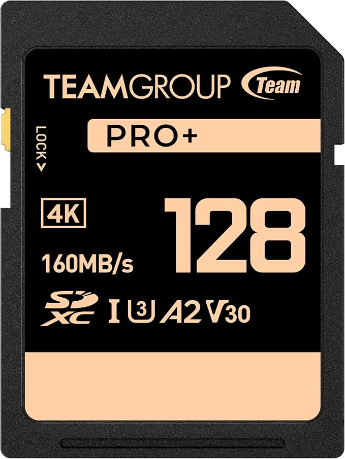 TEAMGROUP PRO 128GB UHS-I U3 A2 V30 4K UHD Read/Write Speed up to 160/90MB/s by TEAMGROUP