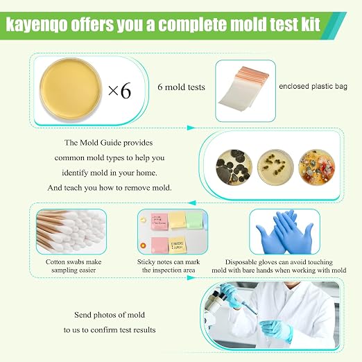 Mold Test Kit for Home - Image 3