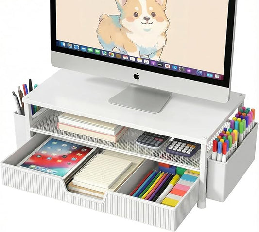 ECOLOVI Desk Organizer and Accessories, 2-Tier Computer Monitor Stand Rise by ECOLOVI