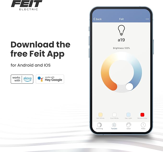 Feit Electric Smart ST21 Light Bulb, 60W Eq, Spiral Filament Edison Style. WiFi - Image 9