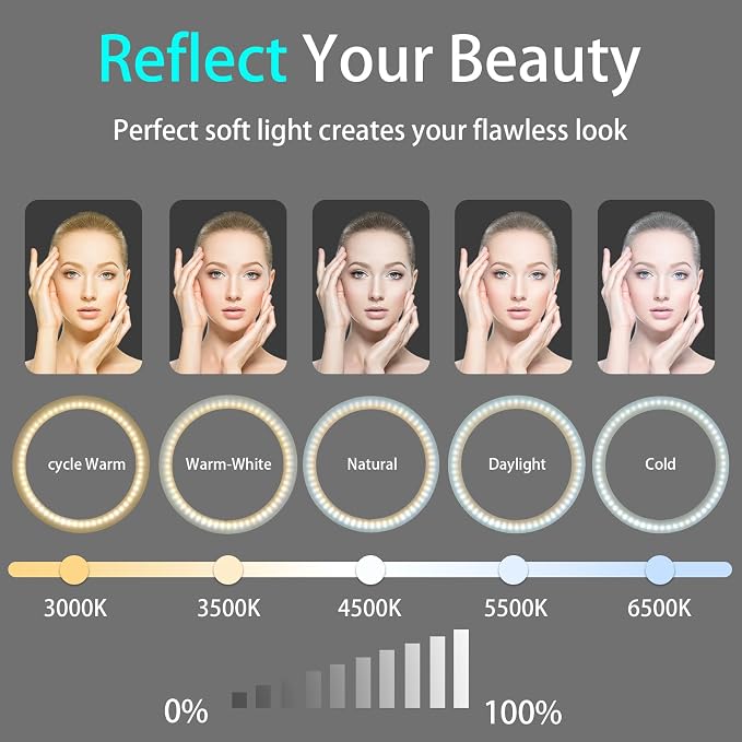 10" Desk Ring Light with Stable Tripod & Phone Holder, 120 LEDs 5-Color - Image 4