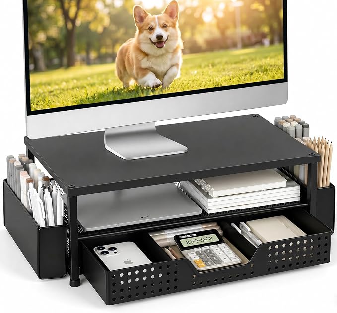 ECOLOVI Desk Organizer and Accessories, 2-Tier Computer Monitor Stand Rise by ECOLOVI