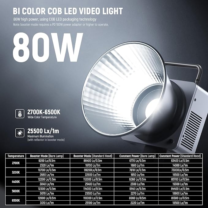 NEEWER 80W LED Video Light - Image 2